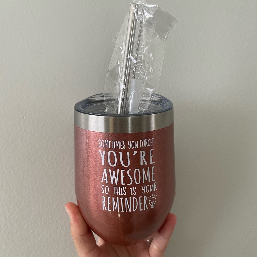 Travel insulated wine mug